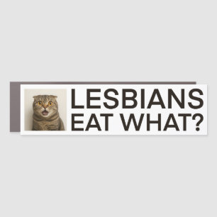 Lesbians Eat What Funny Car Magnet