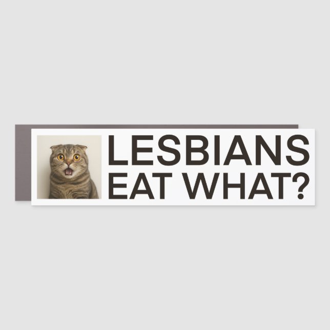 Lesbians Eat What Funny Car Magnet (Front)