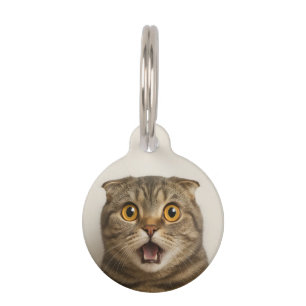 Lesbians Eat What Funny Pet ID Tag