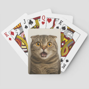 Lesbians Eat What Funny Poker Cards