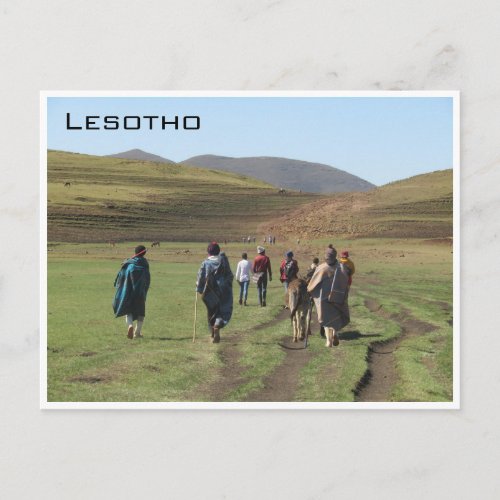 lesotho shepherds postcard
