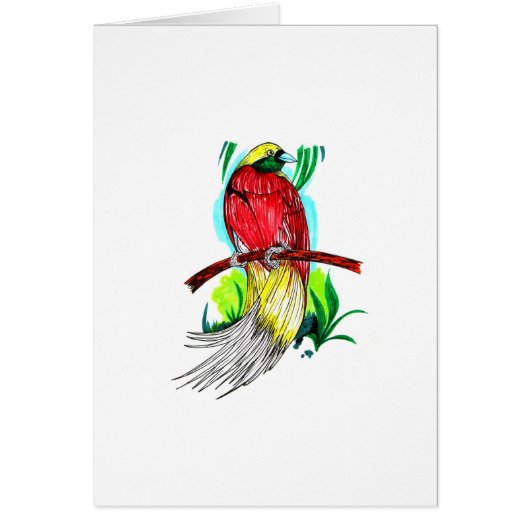 Lesser Bird Cards (Front)