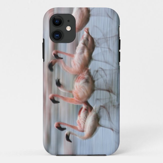 Lesser Flamingos in motion, Phoenicopterus Case-Mate iPhone Case (Back)