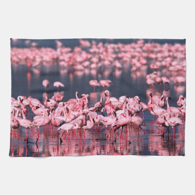 Lesser Flamingos (Phoeniconaias minor), Africa, Kitchen Towel (Horizontal)