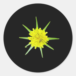 Lesser Goats-beard Wild Flower Stickers