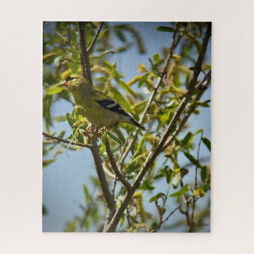 Lesser Goldfinch Jigsaw Puzzle