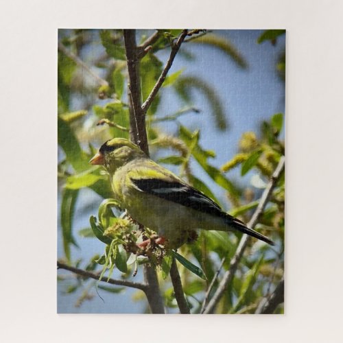 Lesser Goldfinch Jigsaw Puzzle