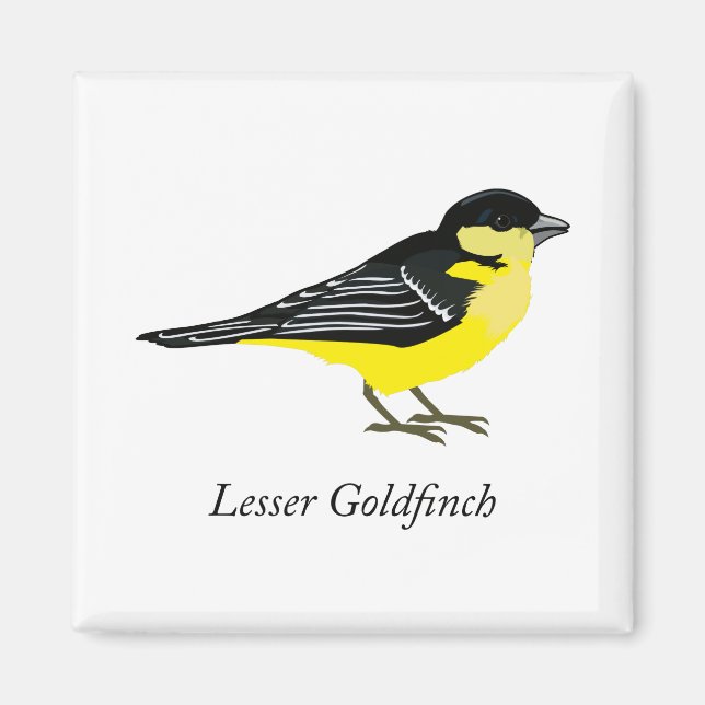 Lesser goldfinch magnet (Front)
