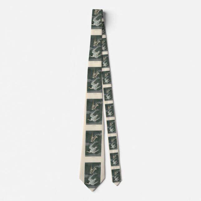 Lesser (Least) Tern - Audubon's Birds of America Neck Tie (Front)