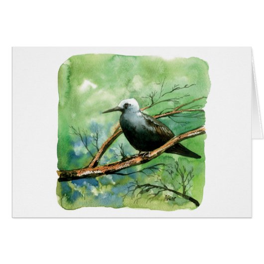 Lesser noddy cards (Front Horizontal)