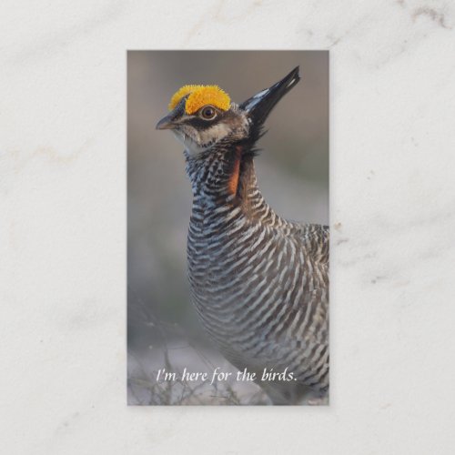 Lesser Prairie Chicken Birders Calling Card