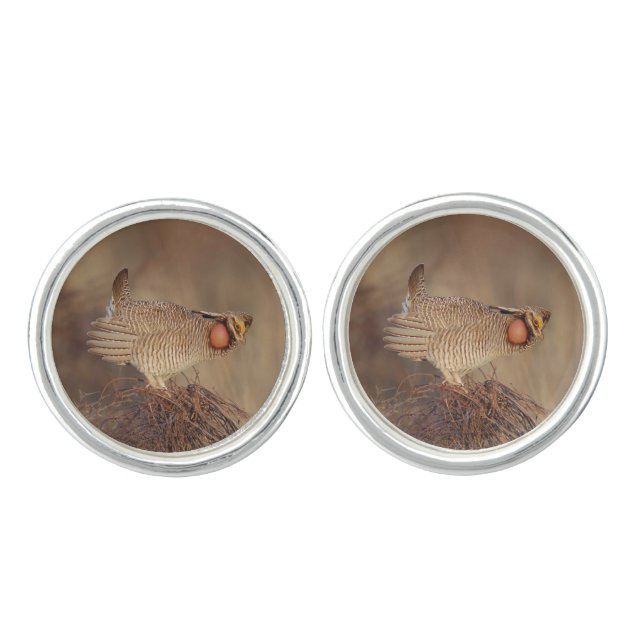 Lesser Prairie Chicken lek Milnesand, New Mexico Cufflinks (Front)