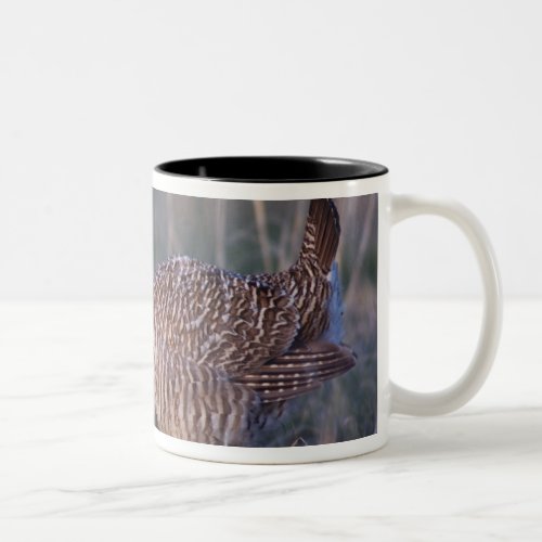 Lesser Prairie_Chicken Tympanuchus Two_Tone Coffee Mug