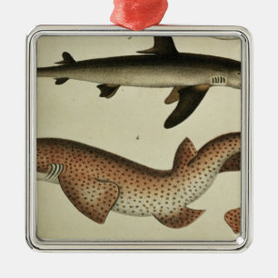 Lesser Spotted Dogfish Metal Ornament