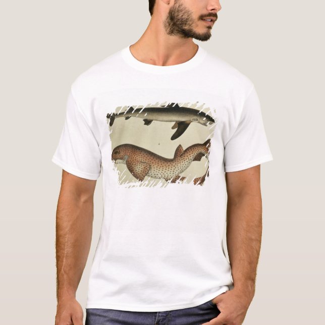 Lesser Spotted Dogfish T-Shirt (Front)