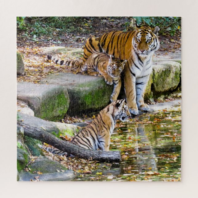 Lessons Of Life Mother Tiger And Cubs Jigsaw Puzzle (Vertical)