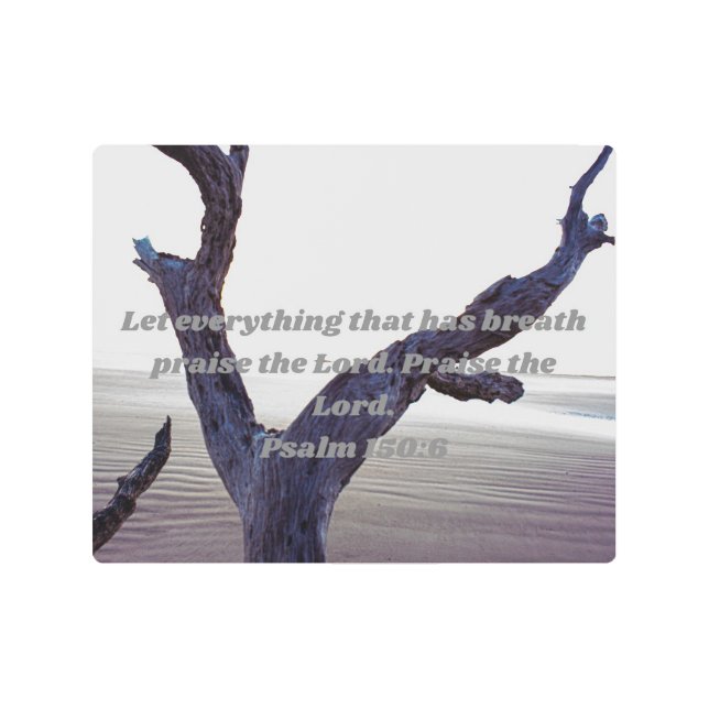 Let Everything that has Breath Praise the Lord Pos Metal Print (Front)