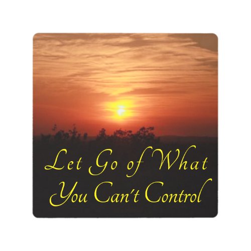 Let Go of What You Cant Control Wall Metal Art