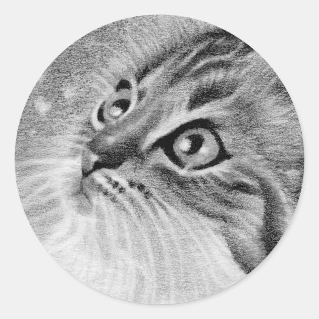 Let is snow  Kitty Cat Classic Round Sticker (Front)