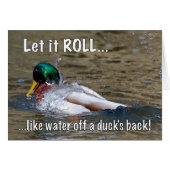 Let it ROLL (Front Horizontal)