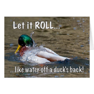 Let it ROLL Cards