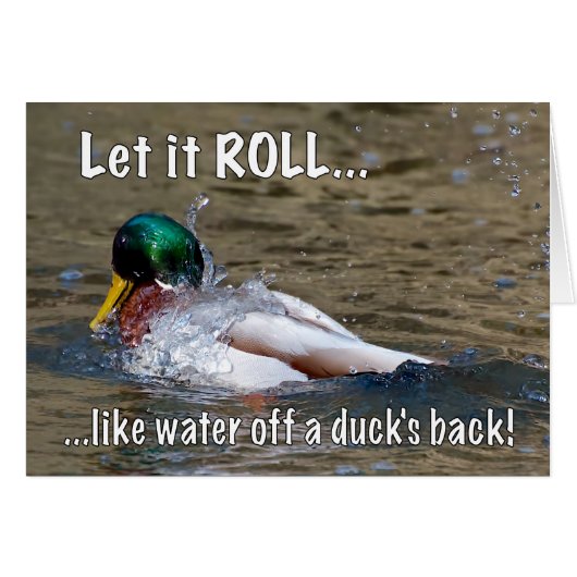 Let it ROLL Cards (Front Horizontal)