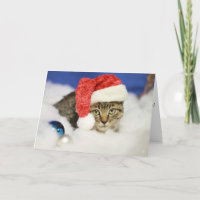 Let It Snow Cat Christmas Card