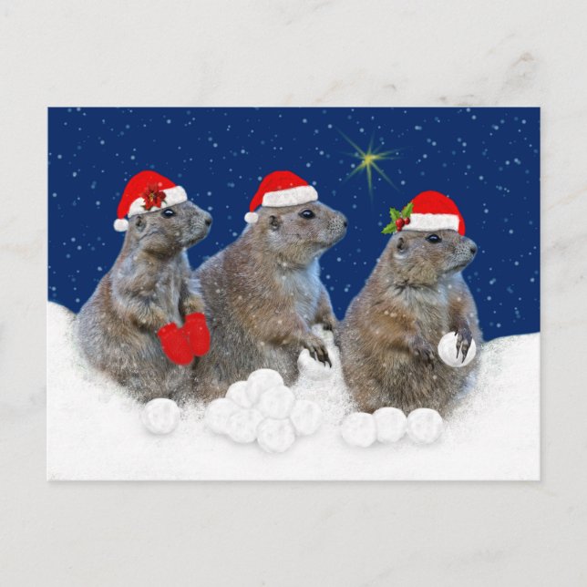 Let it Snow Christmas Postcard (Front)