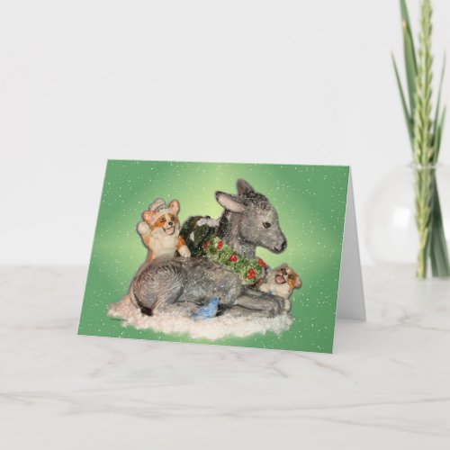 Let it Snow Corgis  Donkey Christmas Card