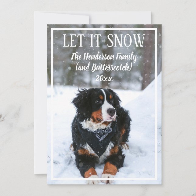 Let it snow Dog Photo Christmas Holiday Card (Front)