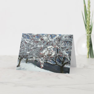 Let it Snow, Let it Snow, Let Snot Holiday Card