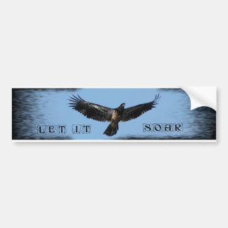 LET IT SOAR BUMPER STICKER