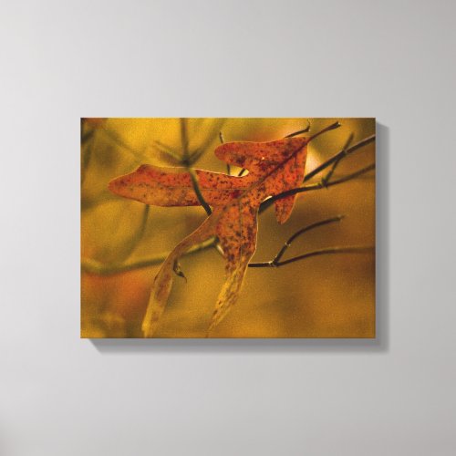 Let me catch you  autumn leaves in golden hues canvas print
