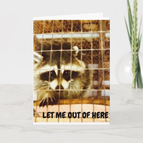 LET ME OUT SO I CAN SAY GET WELL SOON TO YOU  CARD