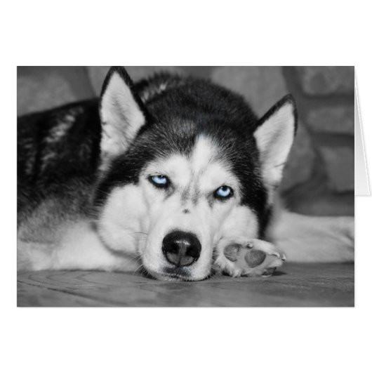 Let Me Sleep Please (Front Horizontal)