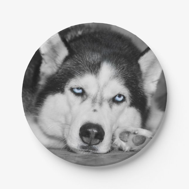Let Me Sleep Please Paper Plates (Front)
