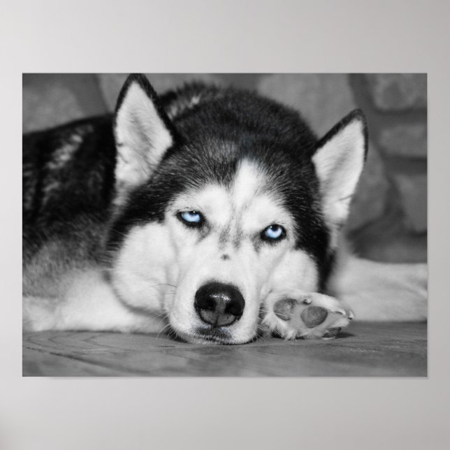 Let Me Sleep Please Poster (Front)