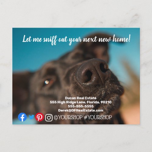 Let me sniff out  real estate marketing postcard