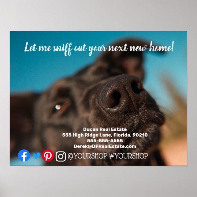 Let me sniff out  real estate marketing postcard poster (Front)