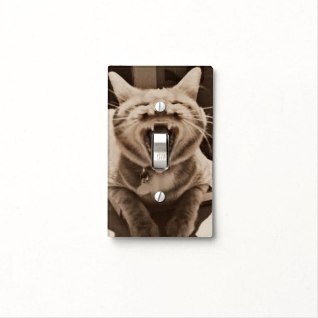 Let my cat's tongue control your lights light switch cover (In Situ)