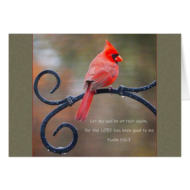 Let my soul rest Cardinal Parakaleo note card (Front Horizontal)