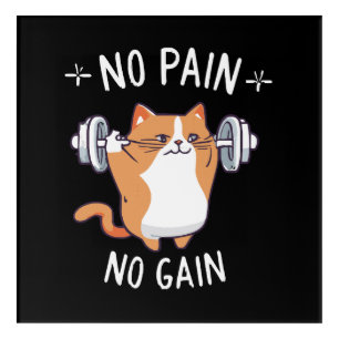 Let s Build Some Muscle! Gym Time! Acrylic Print