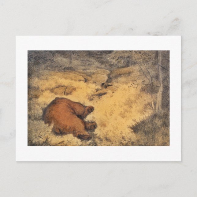 "Let Sleeping Bears Lie" Postcard (Front)