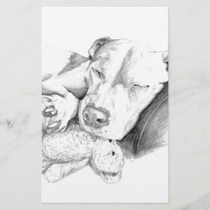 Let Sleeping Dogs Lie Stationery