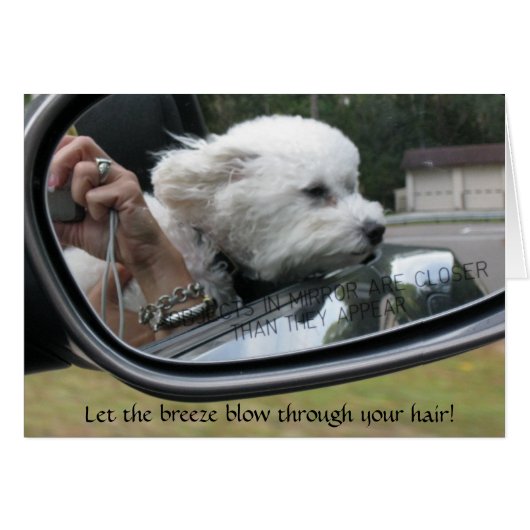 "Let the Breeze Blow Through Your Hair" (Front Horizontal)