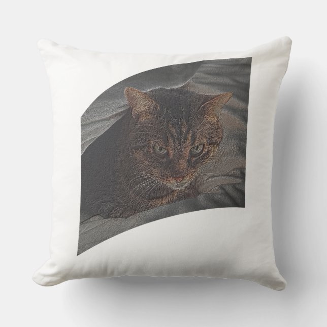 Let the cat rest throw pillow (Front)