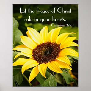 Let the Peace of Christ rule Poster