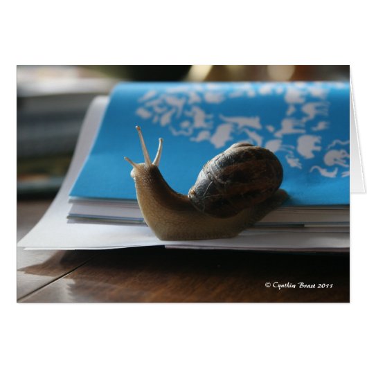 Let the Sun Shine! (Front Horizontal)