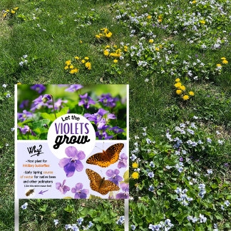 Let the Violets Grow - NO Mow May educational sign