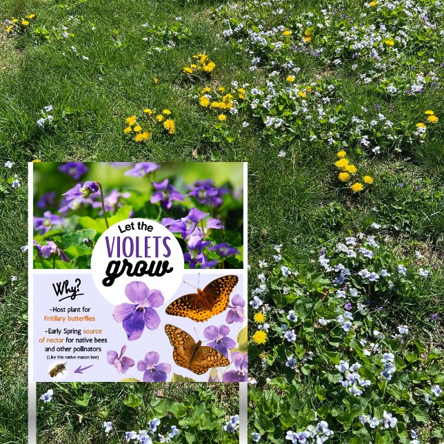 Let the Violets Grow - NO Mow May educational sign (Creator Uploaded)